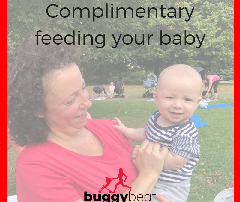 Buggy Beat Tips on Complimentary Feeding your Baby